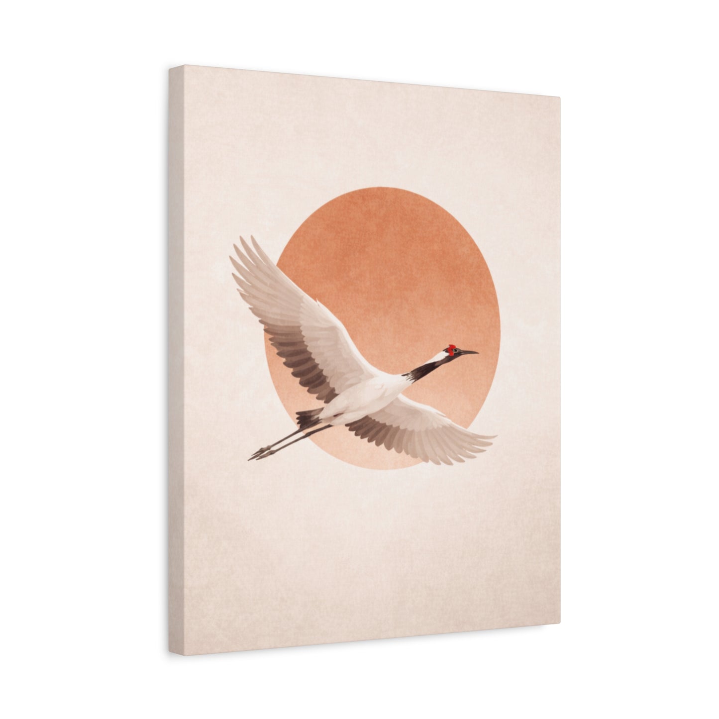 Graceful Cranes
