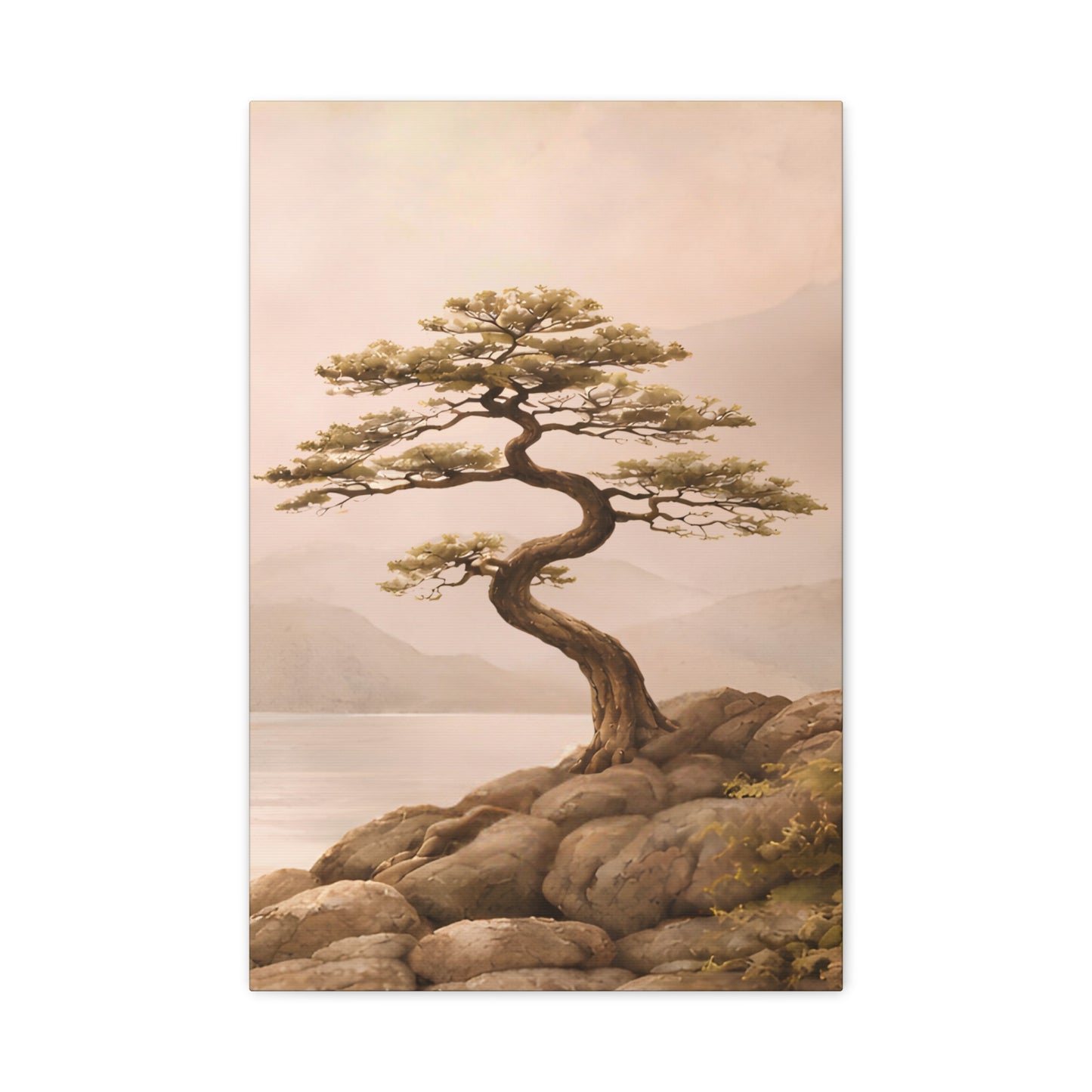 Japandi Bonsai Tree