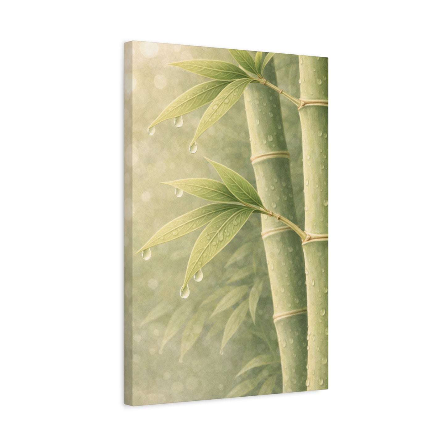 Dew on bamboo
