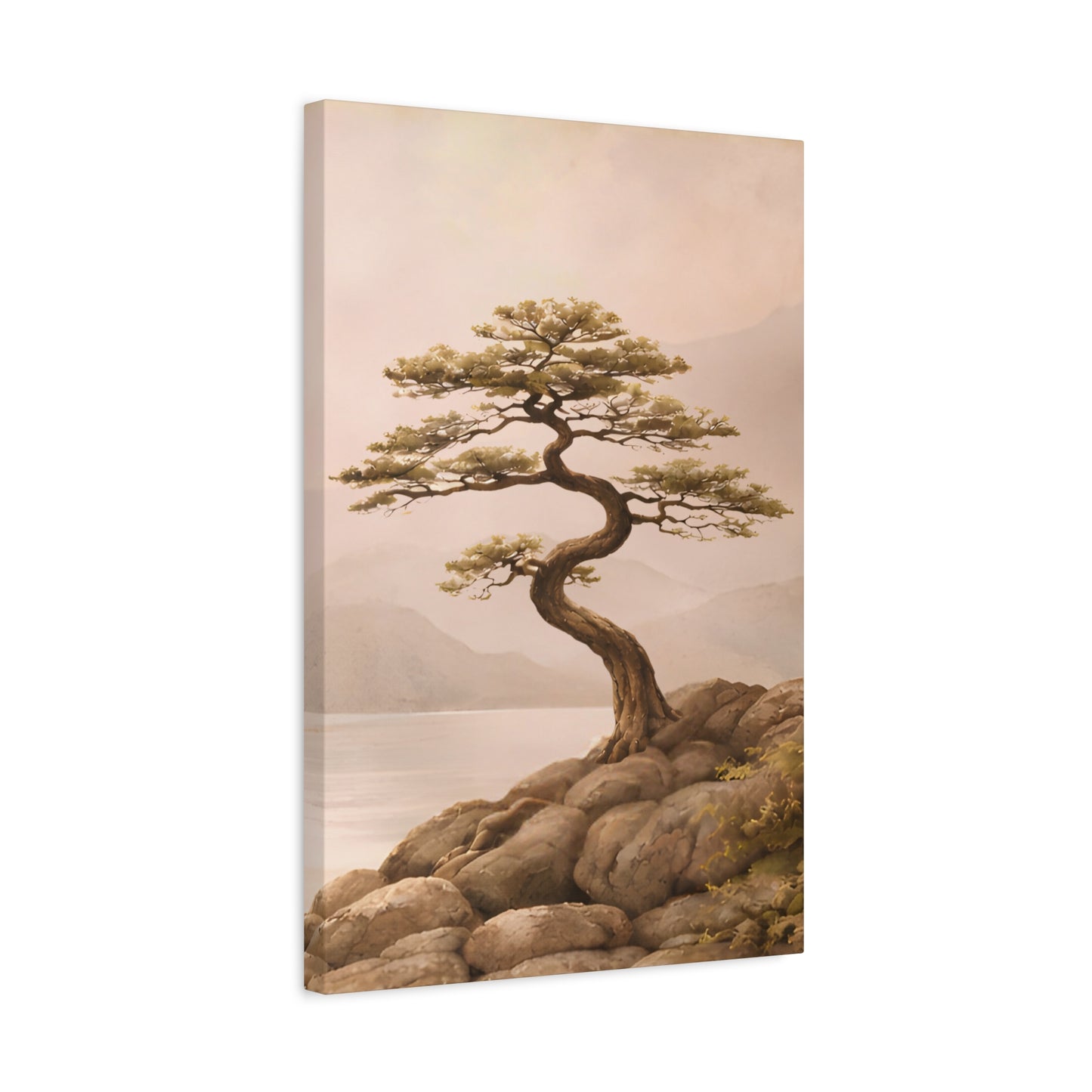 Japandi Bonsai Tree