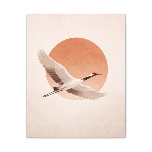 Graceful Cranes